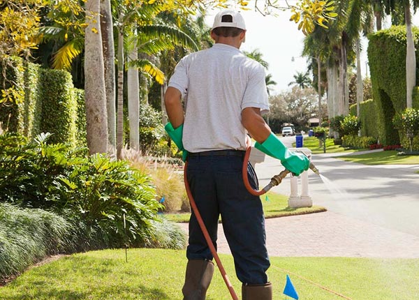 About Lawtons NY Pest Control Pros
